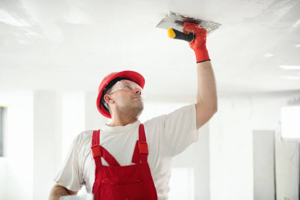 Best Drywall Patching  in Venersborg, WA