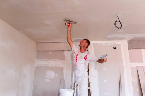 Best Drywall Texturing  in Venersborg, WA